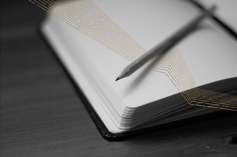 Pirates´n Paradise GmbH Logo